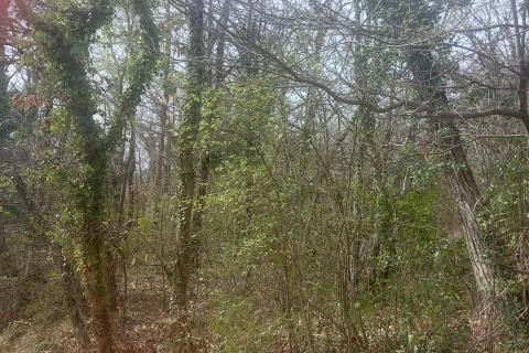 Opatija - Oprić - 1455 m2 negrađevinski teren