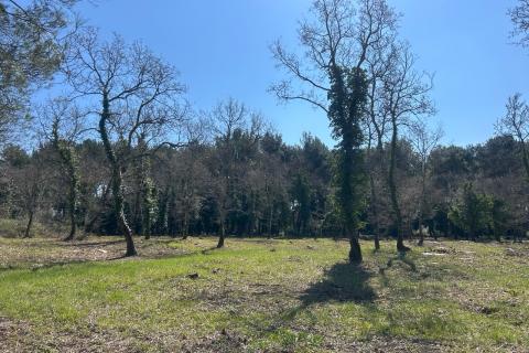 Vi&scaron;njan, veliko građevinsko zemlji&scaron;te sa pogledom na more 