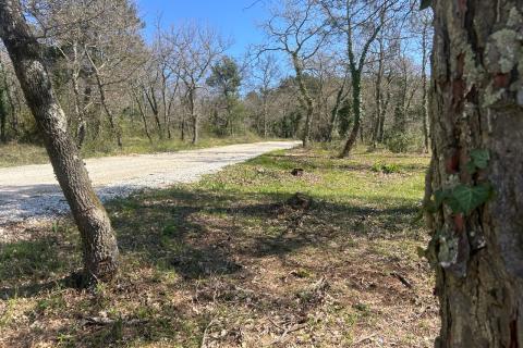 Vi&scaron;njan, veliko građevinsko zemlji&scaron;te sa pogledom na more 