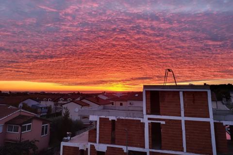 Novigrad, unikatna luksuzna vila s pogledom na more i maslinik