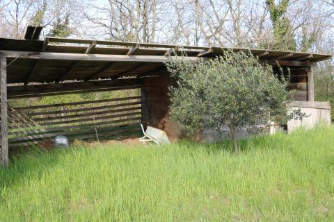 POREČ, BADERNA - uređeno poljoprivredno zemlji&scaron;te s maslinama
