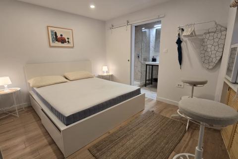 Rovinj, Grisia, potpuno namje&scaron;teni studio