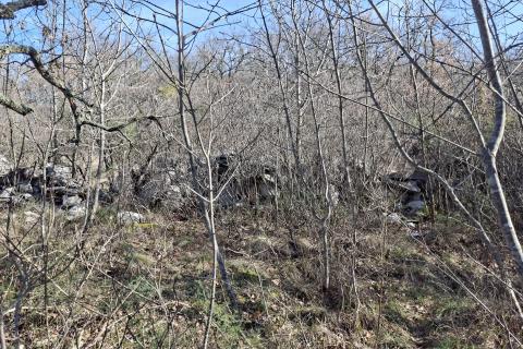 Terreno non edificabile Buje, 3.337m2