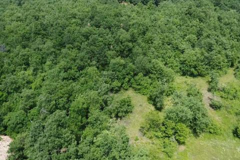 Building plot Gambetići, Vi&scaron;njan, 7.375m2