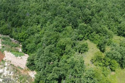 Building plot Gambetići, Vi&scaron;njan, 7.375m2