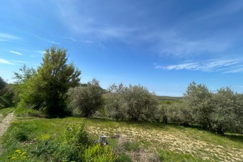 Stavbno zemlji&scaron;če Buje, 608m2