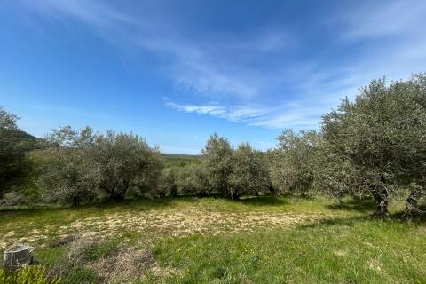 Stavbno zemlji&scaron;če Buje, 608m2