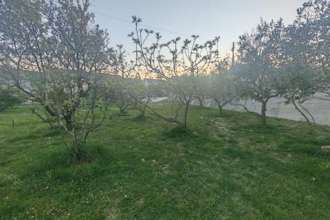 Земельный участок строительного назначения Kampor, Rab, 1.035m2