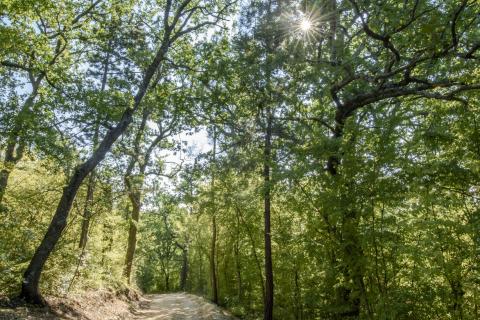 Terreno non edificabile Kastav, 3.327m2