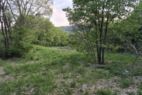  Bribir,  Građevinsko zemlji&scaron;te od 1944 m2  s projektom 