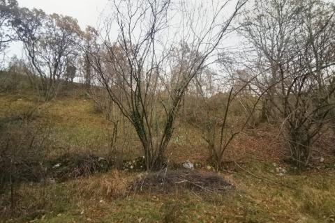 Земельный участок нестроительного назначения Drenova, Rijeka, 5.900m2