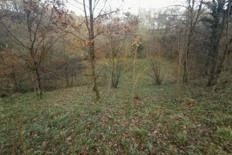 Земельный участок нестроительного назначения Drenova, Rijeka, 5.900m2