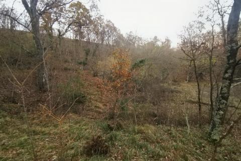 Земельный участок нестроительного назначения Drenova, Rijeka, 5.900m2