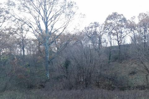 Земельный участок нестроительного назначения Drenova, Rijeka, 5.900m2