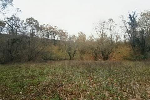 Земельный участок нестроительного назначения Drenova, Rijeka, 5.900m2