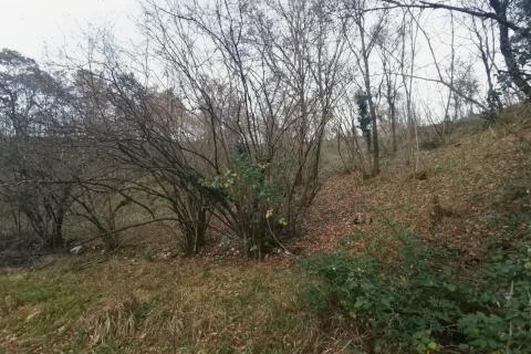 Земельный участок нестроительного назначения Drenova, Rijeka, 5.900m2