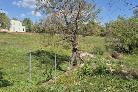 Stavbno zemlji&scaron;če Žminj, 1.005m2