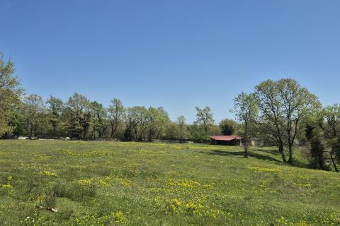 Stavbno zemlji&scaron;če Žminj, 1.005m2