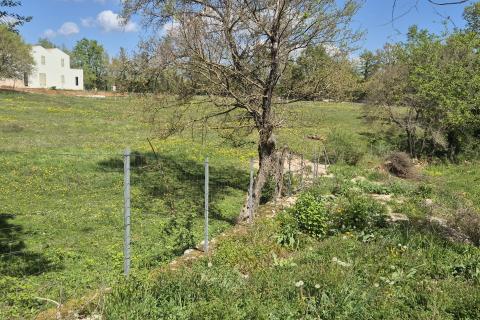 Stavbno zemlji&scaron;če Žminj, 1.005m2