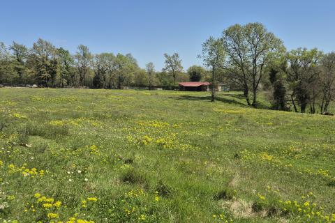 Stavbno zemlji&scaron;če Žminj, 1.005m2