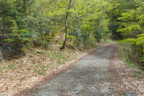 Non-structural plot Zlobin, Bakar, 5.852m2