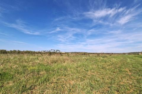 Non-structural plot Petrovija, Umag, 6.802m2