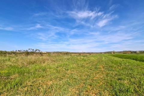 Non-structural plot Petrovija, Umag, 6.802m2