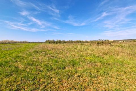 Non-structural plot Petrovija, Umag, 6.802m2