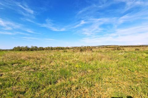 Non-structural plot Petrovija, Umag, 6.802m2