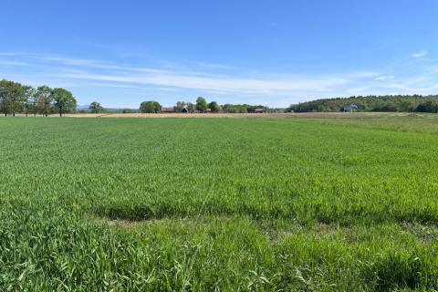 Jakovlje, samostojeća kuća i gospodarski objekti sa velikim zemlji&scaron;tem