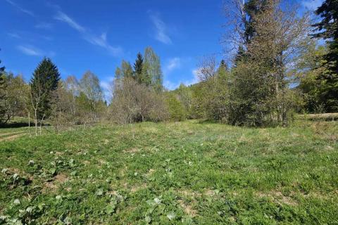 Non-structural plot Fužine, 45.760m2