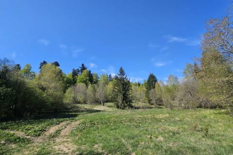 Non-structural plot Fužine, 45.760m2