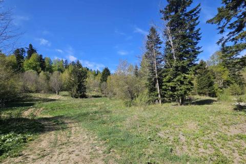 Non-structural plot Fužine, 45.760m2