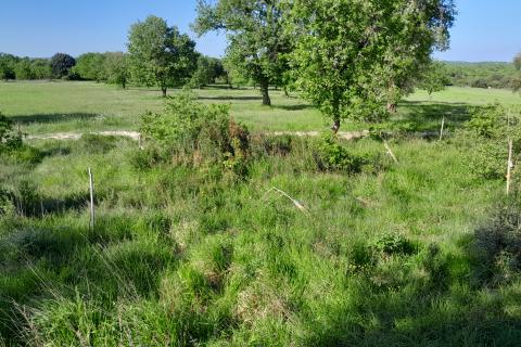 Non-structural plot &Scaron;ijana, Pula, 439m2