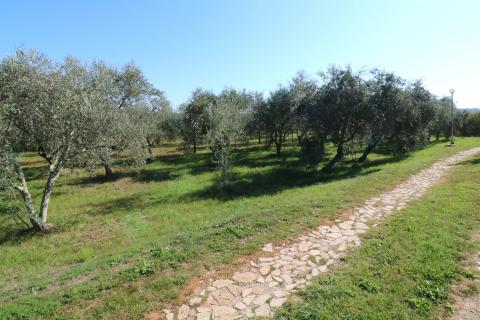 Земельный участок строительного назначения Novigrad, 514m2