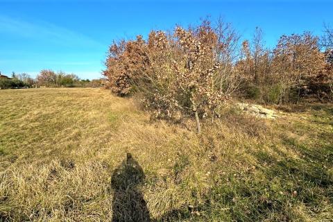 Building plot &Scaron;tokovci, Svetvinčenat, 519m2