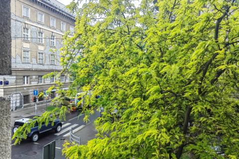 Квартира/Апартамент Donji grad, Donji Grad, 90m2