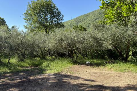 Mo&scaron;ćenička Draga, Građevinsko zemlji&scaron;te 1500m2