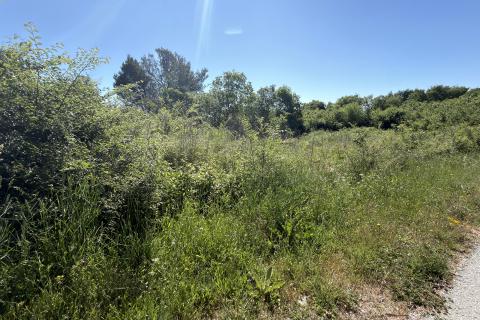 Building plot Barban, 1.032m2