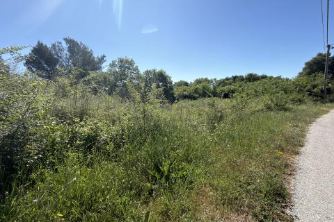 Building plot Barban, 1.032m2