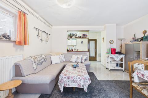 Huis Donja Zelina, Sveti Ivan Zelina, 450m2