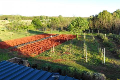 Terreno non edificabile Umag, 3.670m2