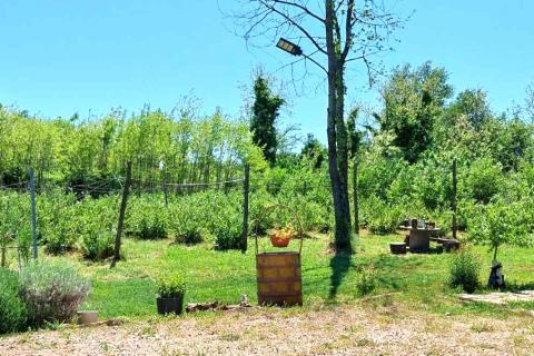 Terreno non edificabile Umag, 3.670m2