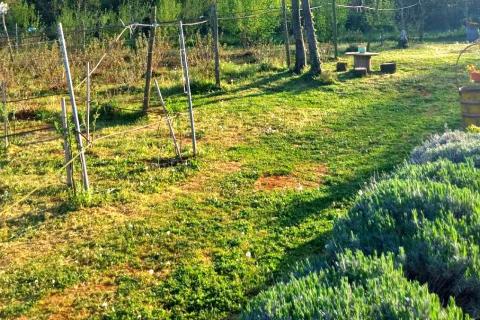 Terreno non edificabile Umag, 3.670m2