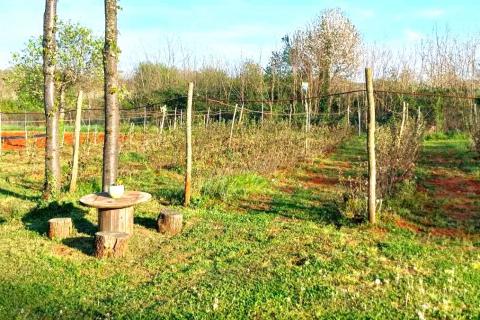 Terreno non edificabile Umag, 3.670m2