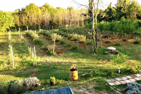 Terreno non edificabile Umag, 3.670m2