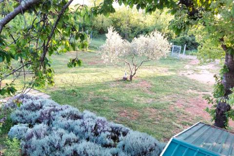 Terreno non edificabile Umag, 3.670m2