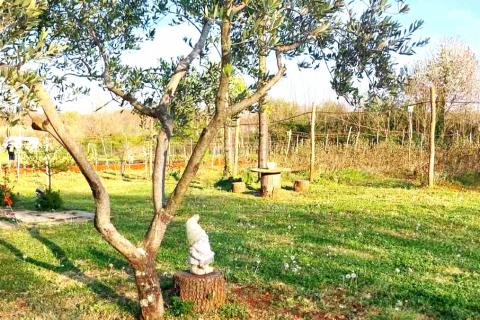 Terreno non edificabile Umag, 3.670m2