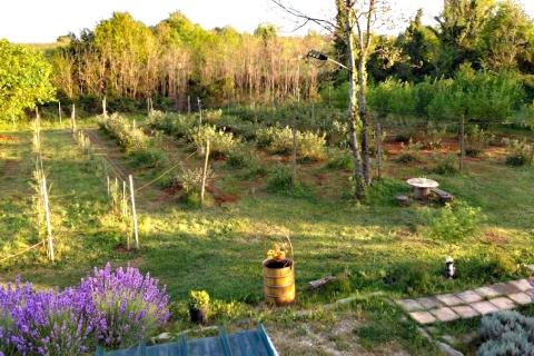 Terreno non edificabile Umag, 3.670m2