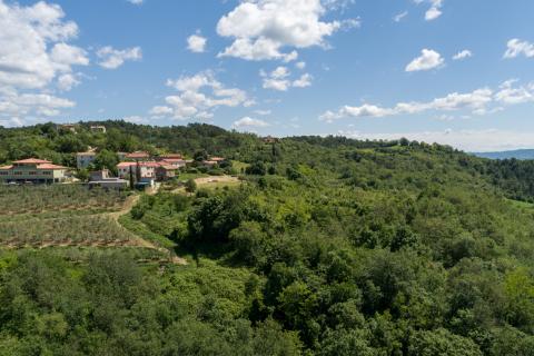 Casa Krasica, Buje, 147,70m2
